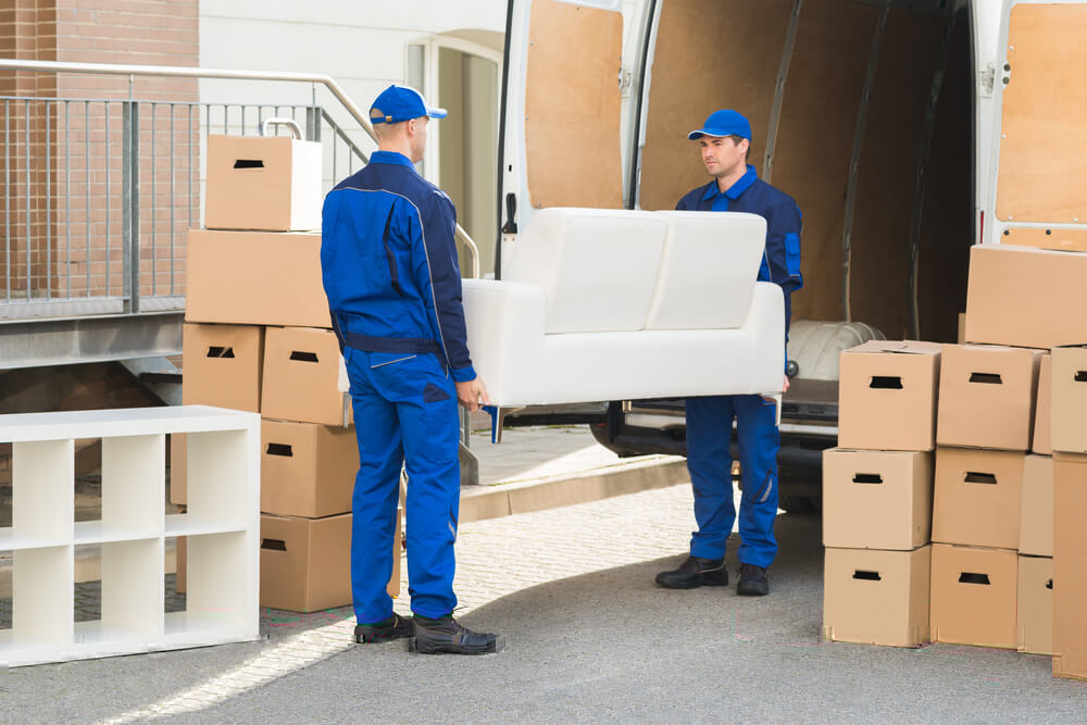 Moving into a New Apartment