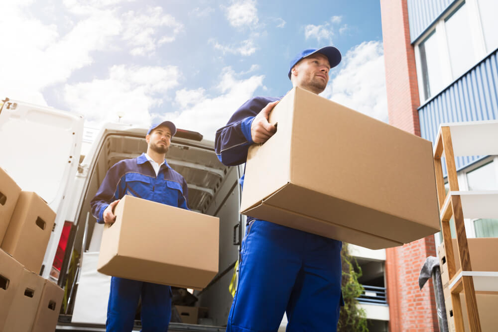 Best Apartment Movers Near Me