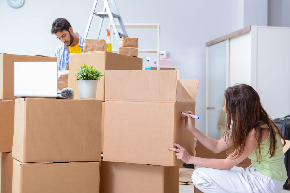 Best Moving Company Allen